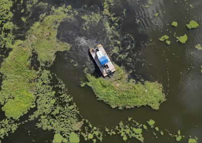 Limpieza Lago Parque Rivera